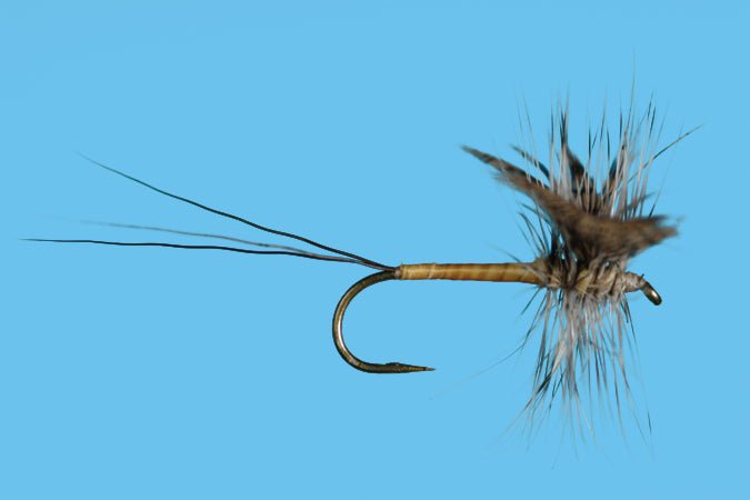 Harrop's Gray Drake Hackled Spinner - Flies - Fly Fish Food