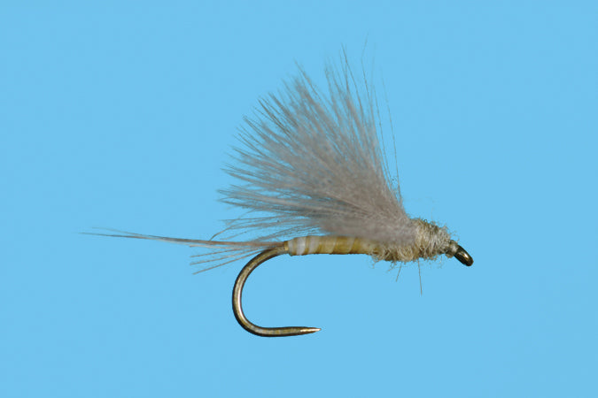 CDC Biot Dun - Image source: FlyFishFood
