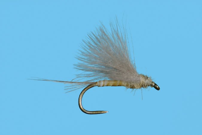Harrop's CDC Biot Dun - PMD - Flies - Fly Fish Food