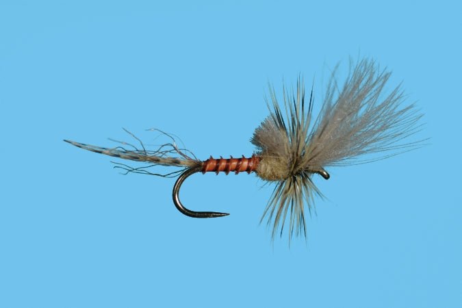 Harrop's Last Chance Cripple - PMD - Flies - Fly Fish Food
