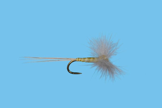 CDC Biot Spinner - PMD - Flies - Fly Fish Food