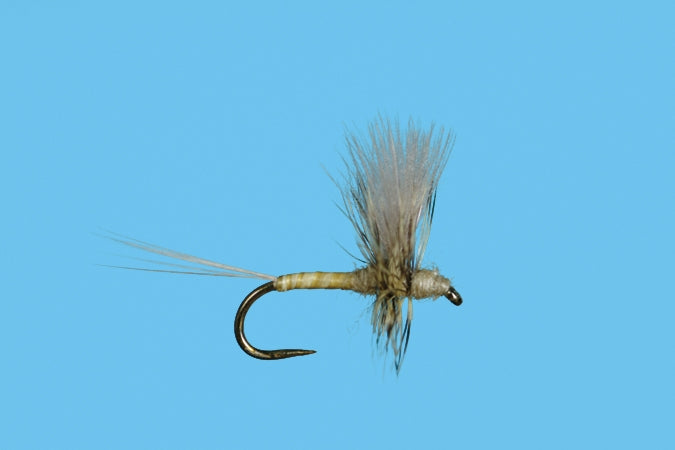 Harrop's CDC Thorax - PMD
