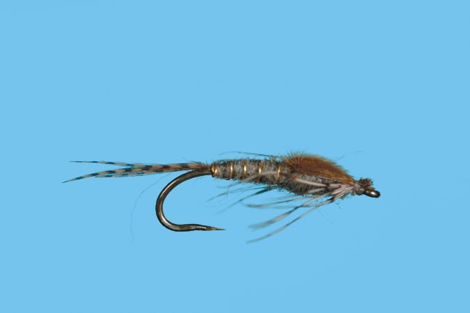 Harrop's Mayfly Nymph - Callibaetis - Flies - Fly Fish Food