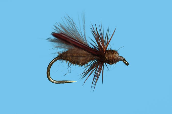 Harrop's CDC Water Wasp - Honey - Flies - Fly Fish Food