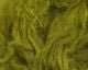 Ram's Wool - Hair & Fur - Fly Fish Food