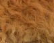 Ram's Wool - Hair & Fur - Fly Fish Food