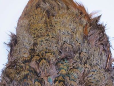 Fish Hunter Ringneck Pheasant Rump Patch