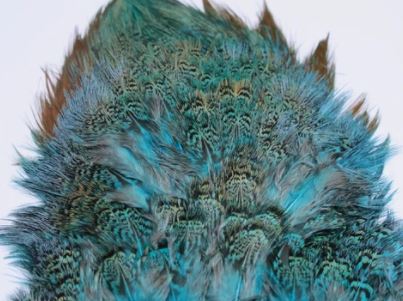 Fish Hunter Ringneck Pheasant Rump Patch