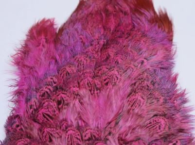 Fish Hunter Ringneck Pheasant Rump Patch