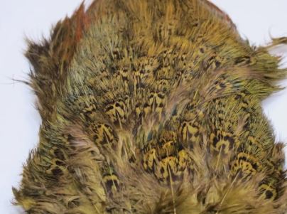 Fish Hunter Ringneck Pheasant Rump Patch