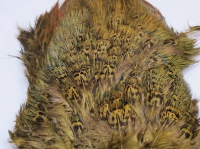 Fish Hunter Ringneck Pheasant Rump Patch – Fly Fish Food