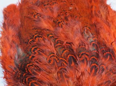 Fish Hunter Ringneck Pheasant Rump Patch