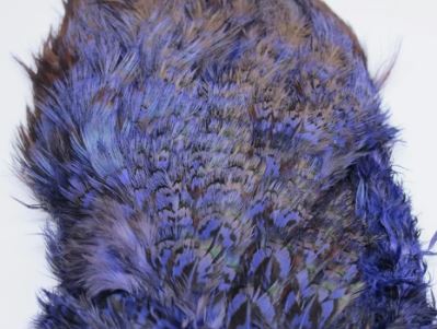 Fish Hunter Ringneck Pheasant Rump Patch