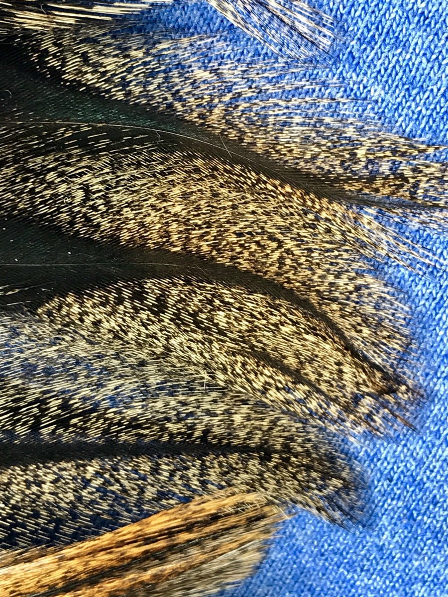 Spanish Coq De Leon - Pardo - Hackle - Fly Fish Food