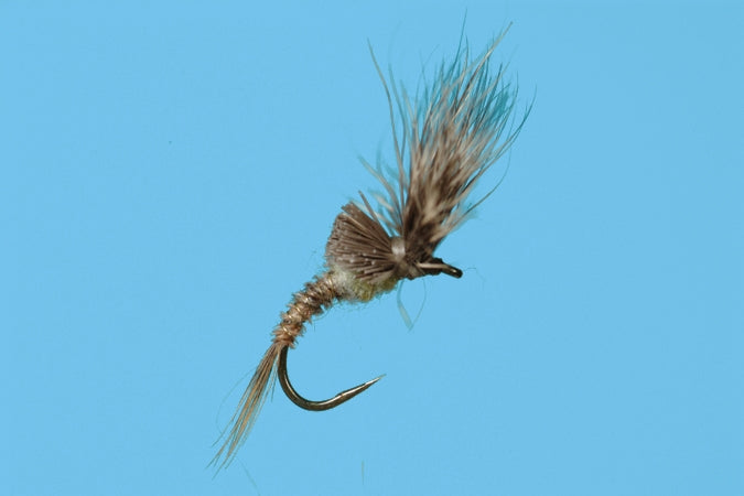 Morris May Emerger - PMD