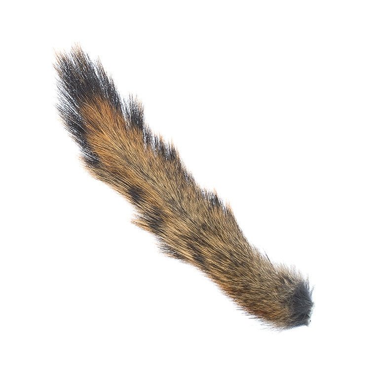Squirrel Tail - Hair & Fur - Fly Fish Food