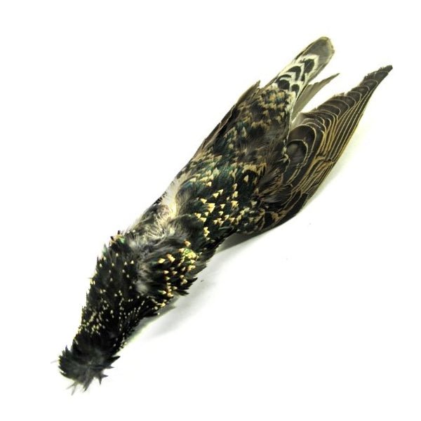 Nature's Spirit Starling Skin - Feathers & Marabou - Fly Fish Food