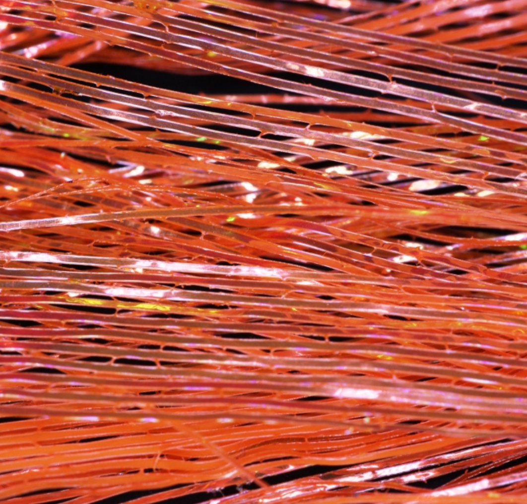 Perdigonmania PPB Strips