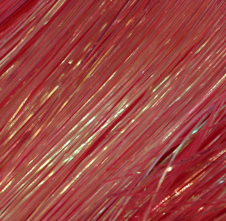 Perdigonmania Transparent UV Perdigon Strips