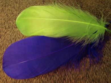 Select Goose Shoulder Feathers