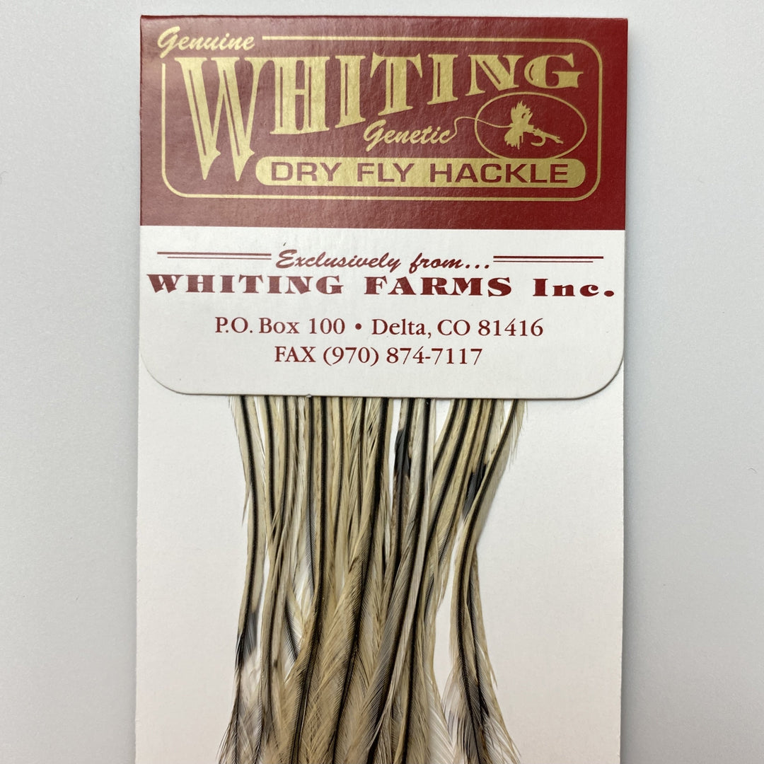 Whiting 100 Pack Dry Fly Hackle  - Silver Badger - 16