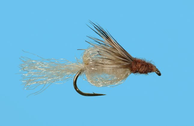 Sparkle Pupa - Tan
