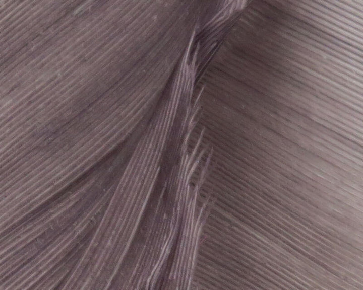 Turkey Biot Quills