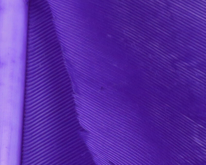 Turkey Biot Quills