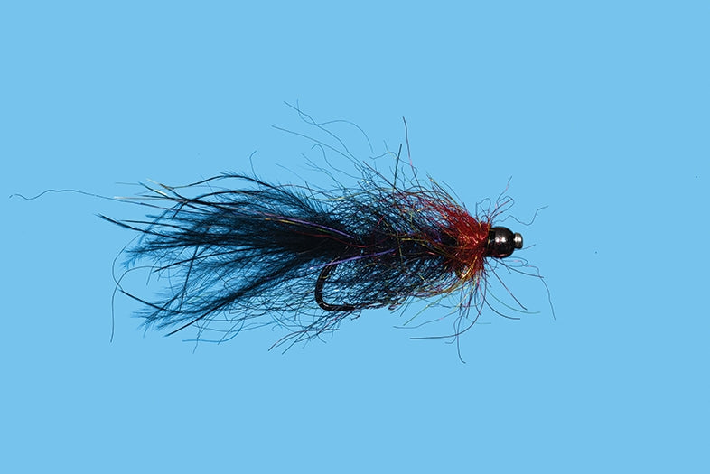 Balanced Leech - Bruised