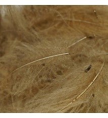 TroutHunter Premium Bulk CDC - Feathers & Marabou - Fly Fish Food