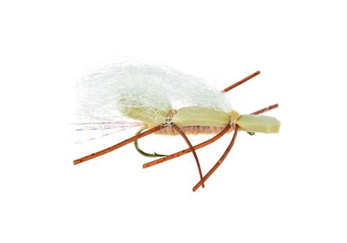 Chubby Chernobyl Tan
