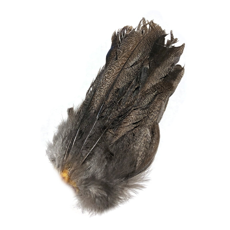 Whiting Coq De Leon Tail Feathers