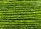 Chenille - Large - Chenille - Fly Fish Food