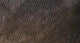 Crosscut Rabbit Strips