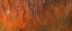 Crosscut Rabbit Strips