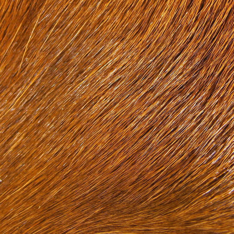 Deer Belly Hair