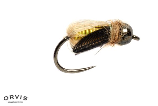 Tom Rosenbauer's Deep Caddis Pupa