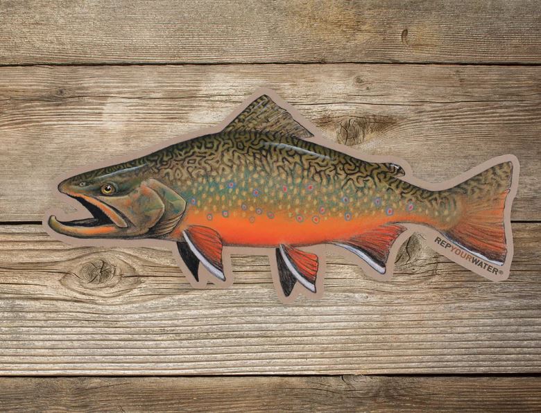 Rep Your Water - Fall Brookie Artist's Reserve Sticker - Large