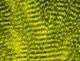 Fine Black Barred Marabou - Feathers & Marabou - Fly Fish Food