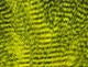 Fine Black Barred Marabou