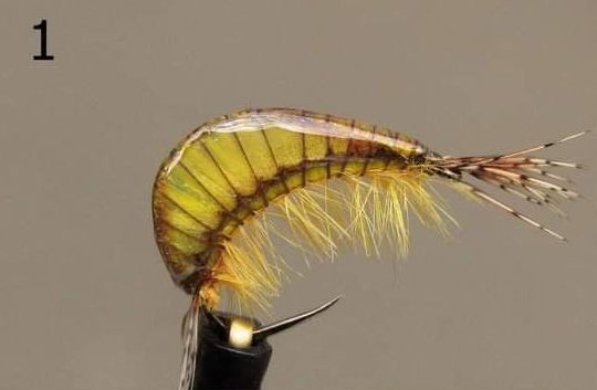 Gammarus - Gaga Flies