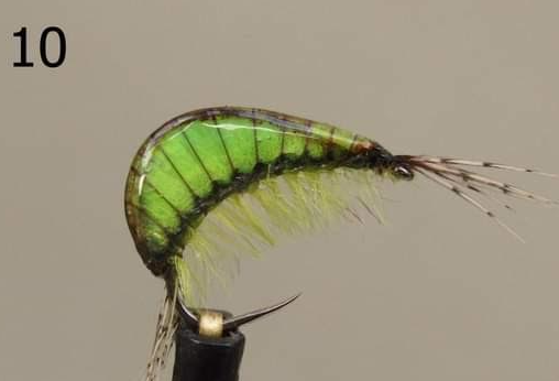 Gammarus - Gaga Flies