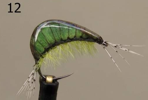 Gammarus - Gaga Flies