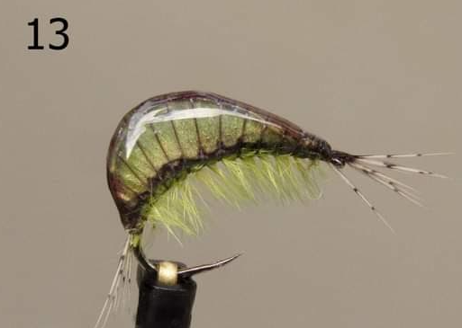 Gammarus - Gaga Flies