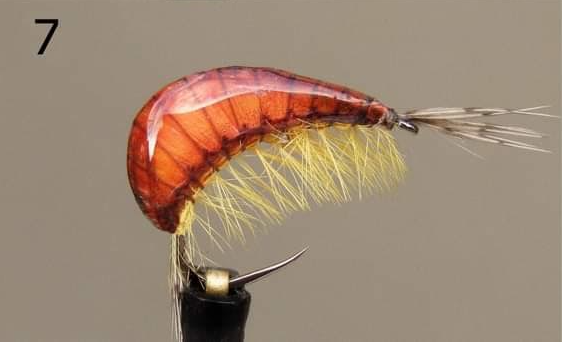 Gammarus - Gaga Flies