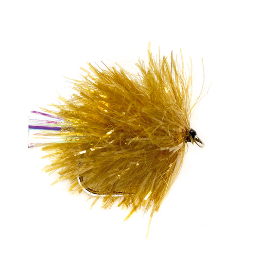 Golden Olive - 10