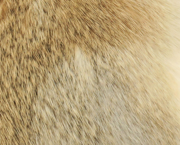 Cross Cut Whole Rabbit Hide