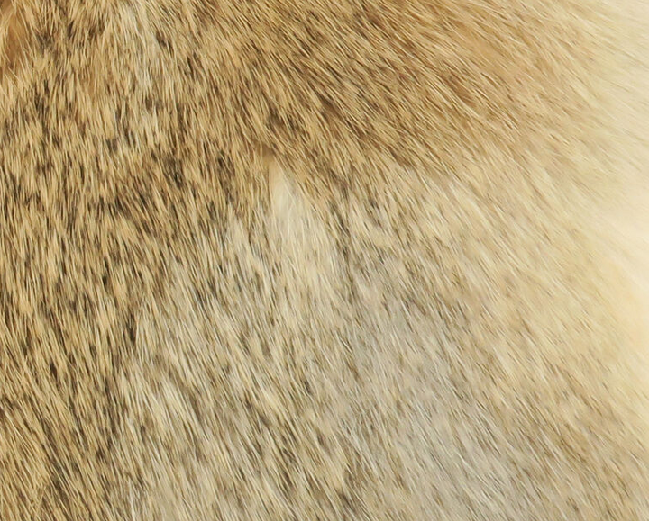 Cross Cut Whole Rabbit Hide