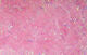 Krystal Flash Chenille