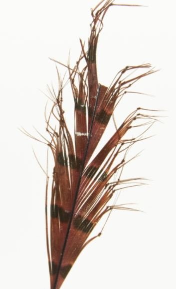 Semperfli Knotted Hopper Legs - Feathers & Marabou - Fly Fish Food